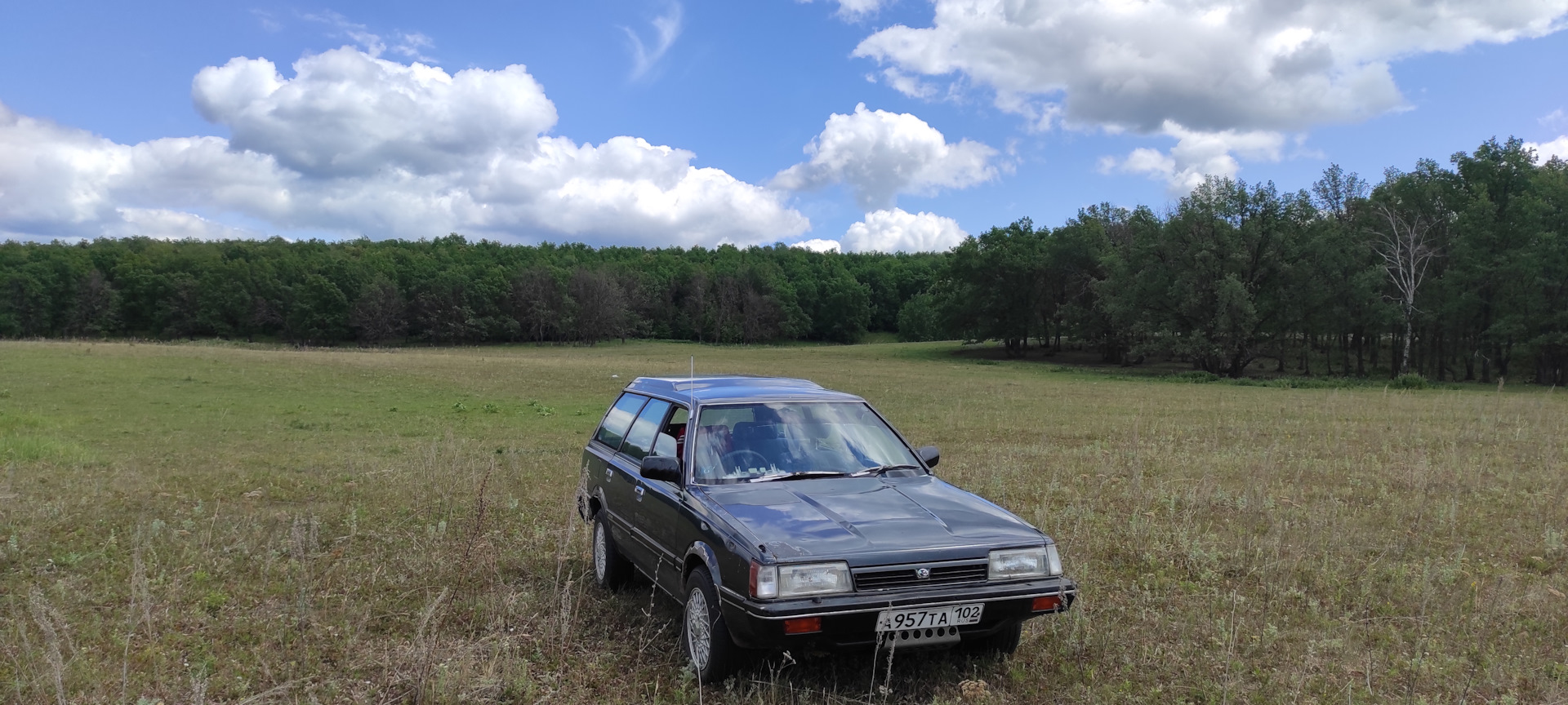 В Питер за машинами — Subaru Leone (2G), 1,6 л, 1982 года | покатушки |  DRIVE2