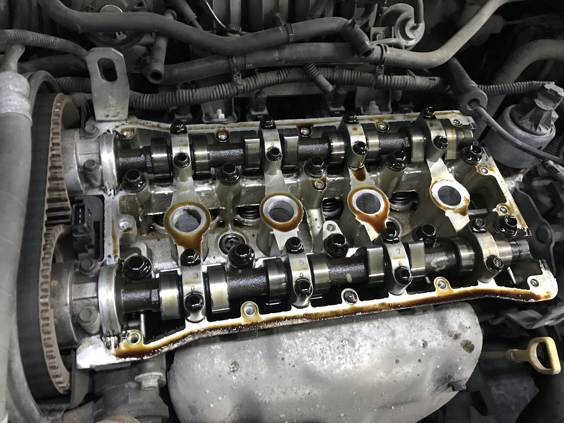Кто какое масло льёт в Лачугу? — Chevrolet Lacetti 5D, 1,4 л, 2007 года ...