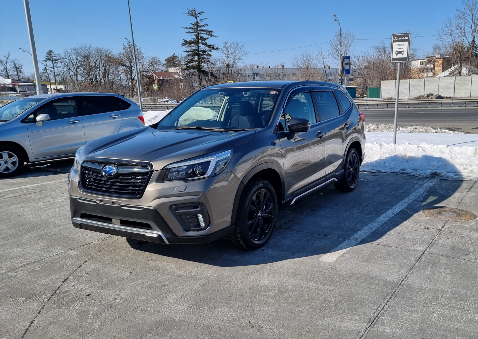 Давай знакомиться — Subaru Forester (SK), 1,8 л, 2021 года | просто так |  DRIVE2