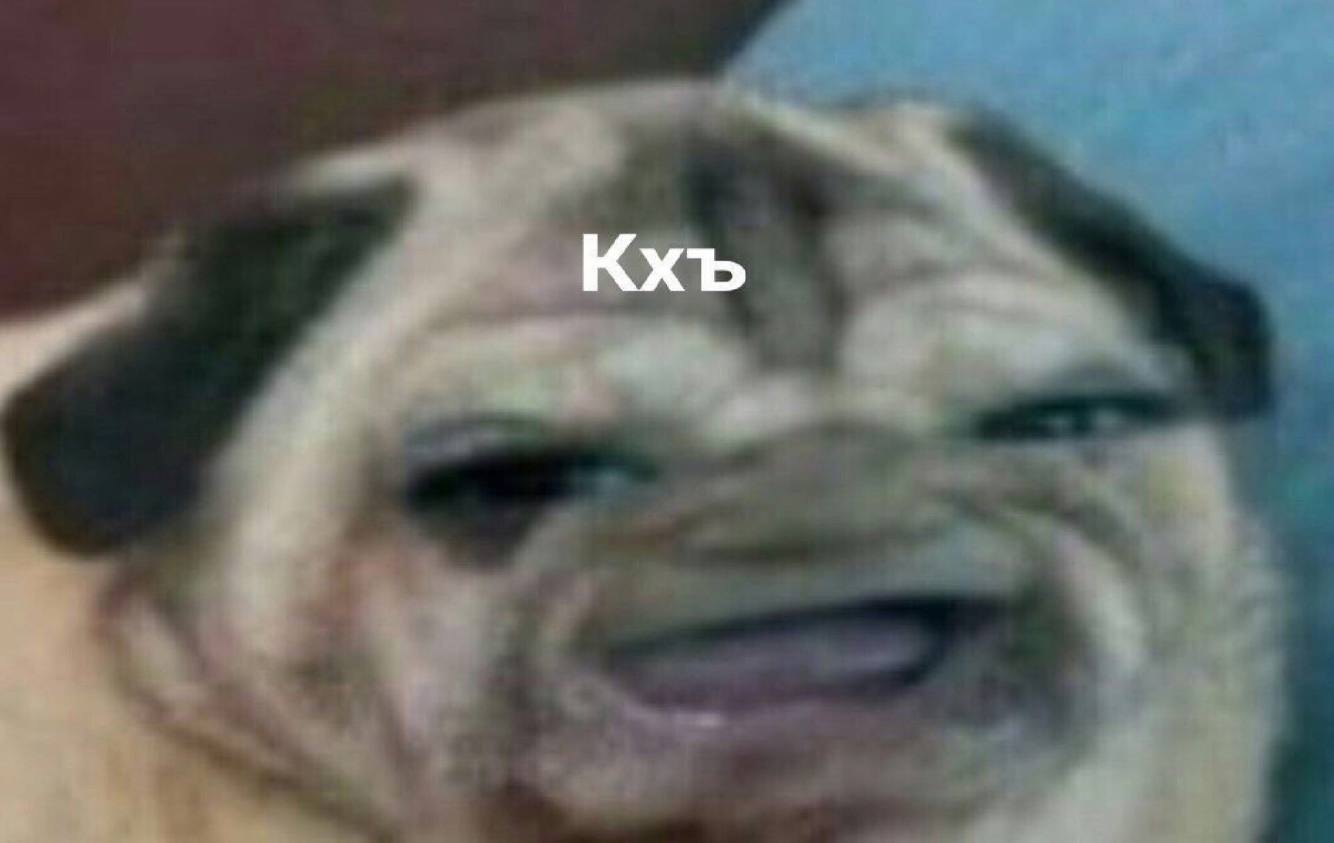 Плохой запуск — Сообщество «Chevrolet Niva» на DRIVE2