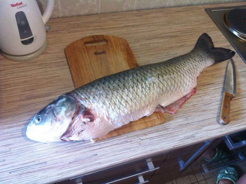 Минтай жареный на сковороде рецепт с фото ГотовлюЯ