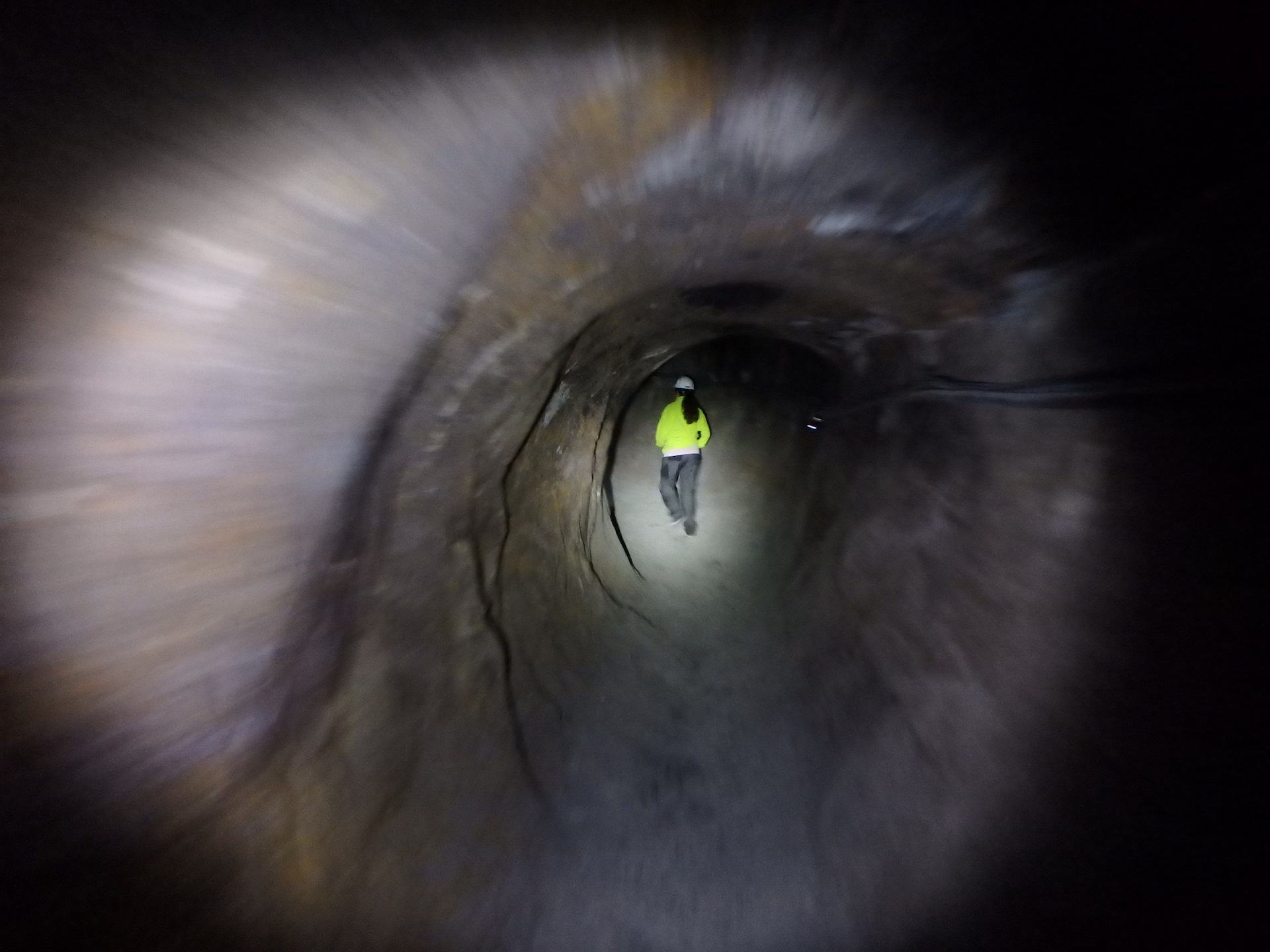 Крышу у кабрика смазал — Smart fortwo (2G), 0,8 л, 2012 года ...