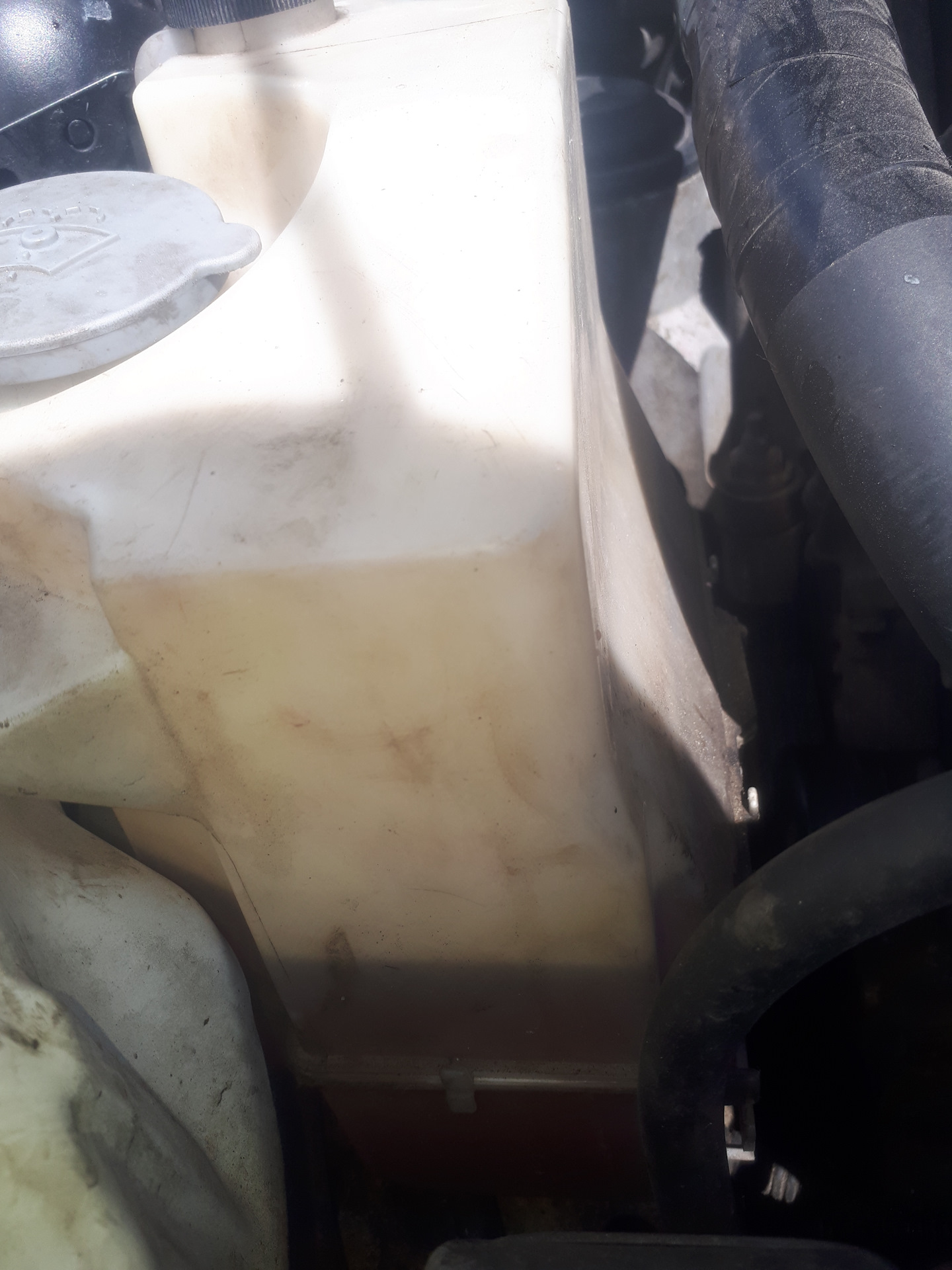 Перегрел Двигатель, масло в антифризе. Что теперь делать ? — Nissan ...