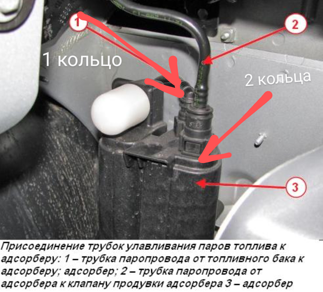 сосет у 