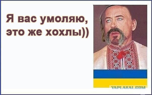 Хохлы про крокус. Мемы про Хохлов. Хохлы приколы. Хохлы мемы. Тупые украинцы.