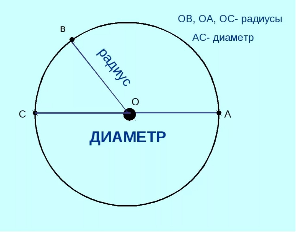 Круг плюс круг равно. Радиус и диаметр круга. Окружность круг радиус диаметр. Что такое радиус и диаметр окружности 5 класс. Картинки окружности с радиусом и диаметром.