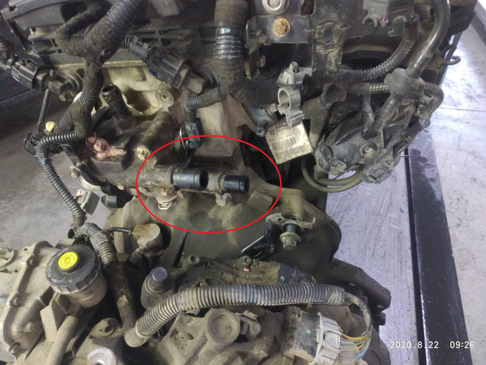 Кольцо для патрубка ОЖ 13170118 VAG N90316801 — Opel Astra H, 1,6 л ...