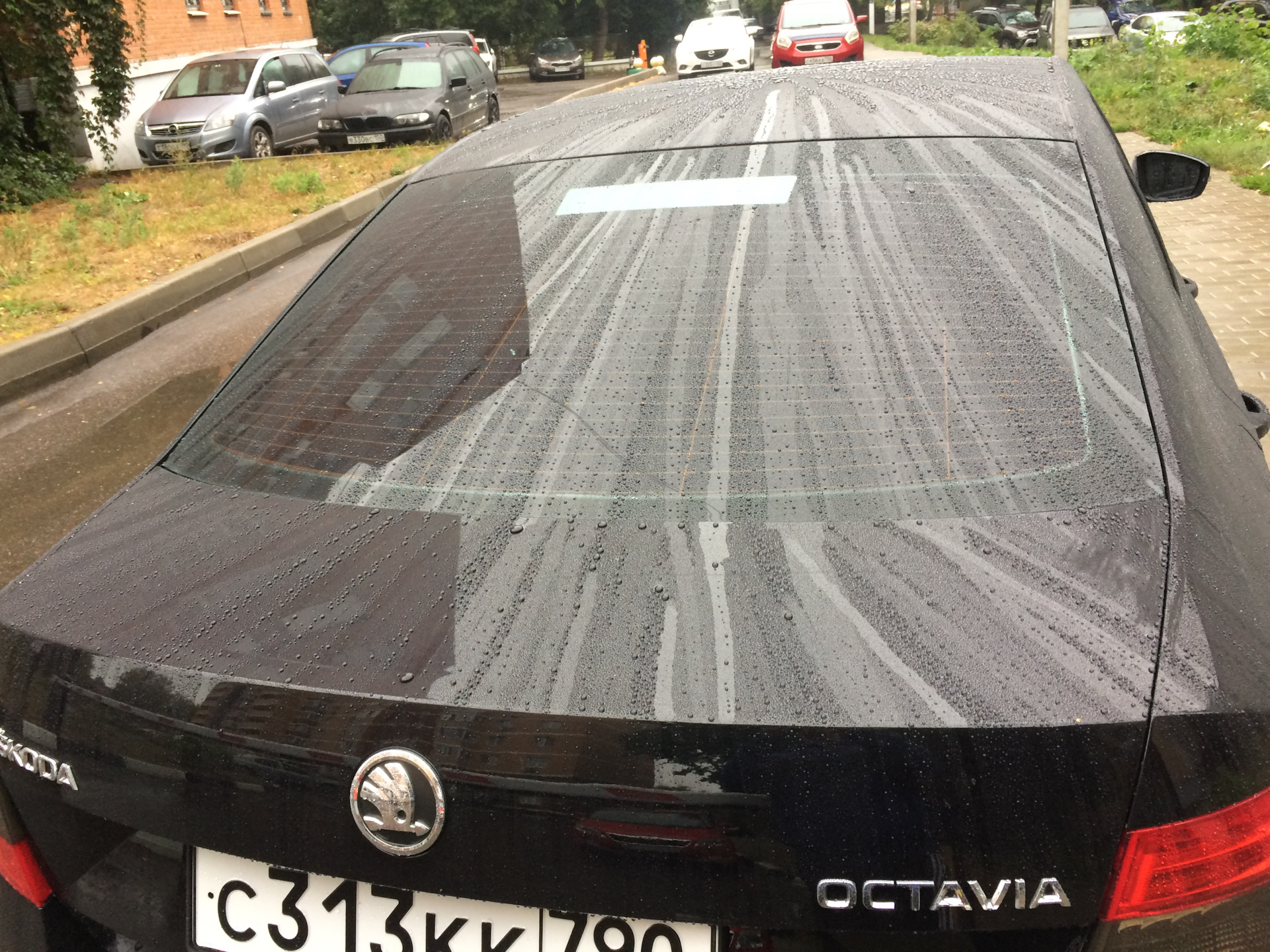 Подготовка к осенне-зимнему сезону Skoda Octavia 1,4 TSI — Skoda Octavia A7  Mk3, 1,4 л, 2013 года | мойка | DRIVE2