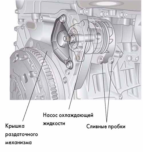 Фольксваген т5 как снять насос Замена помпы т5 2.5 - Volkswagen Multivan (T5), 2,5 л, 2009 года поломка DRIVE2