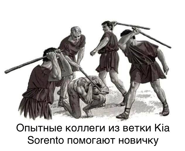 Команда по проекту мем