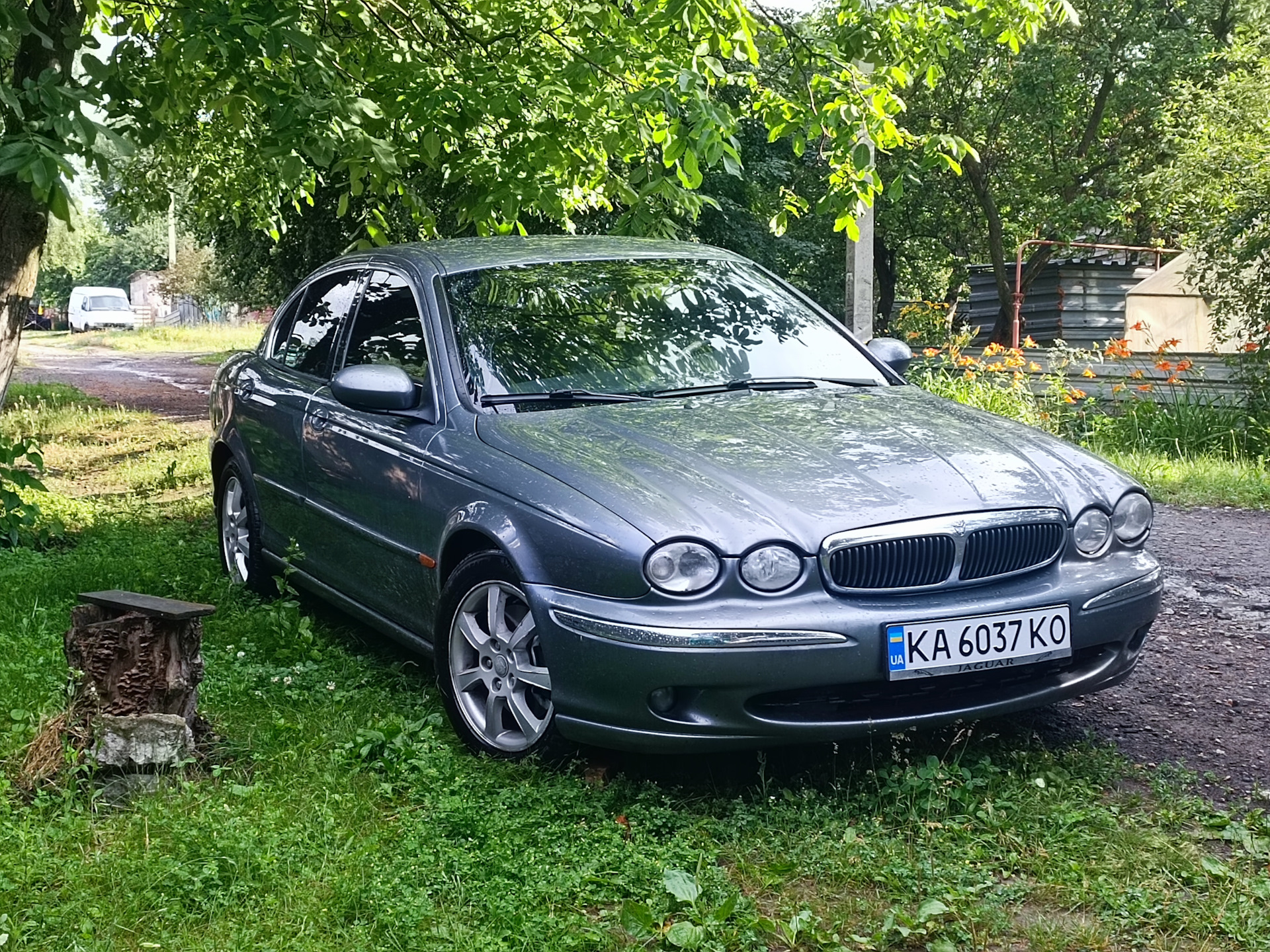 Покупка съемного кота на капот — кастомизация Jaguar. — Jaguar X-Type, 2,5  л, 2007 года | аксессуары | DRIVE2