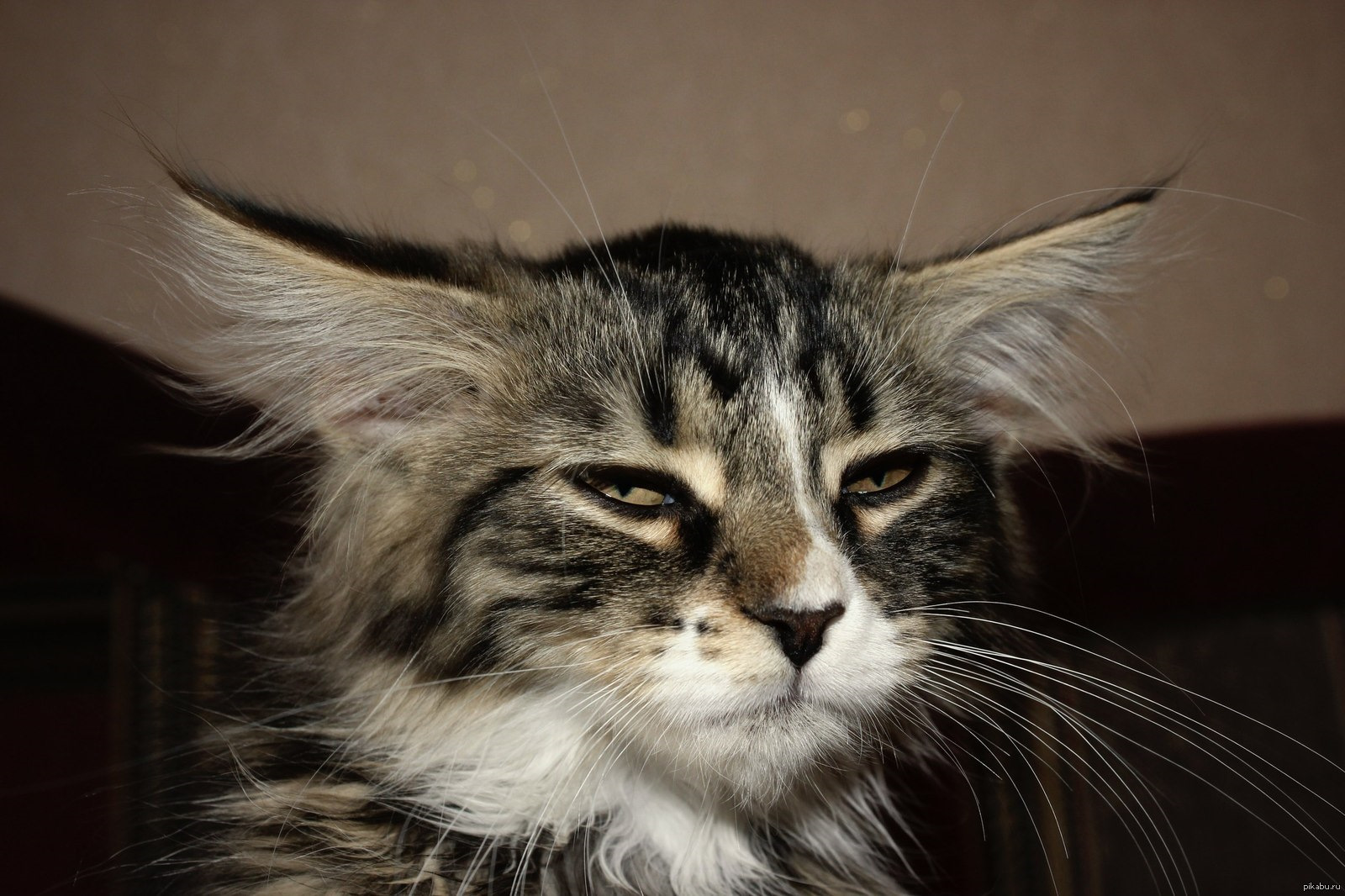 Обращения ВКонтакте