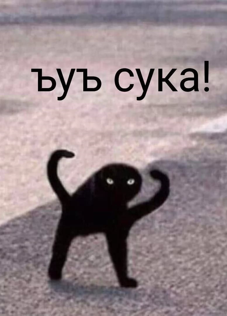 Ъуъ мем с котом
