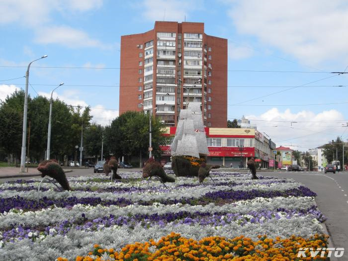 Клевер магазин. Сеть супермаркетов клевер. Ооо клевер трейд. Клевер спорт набережные челны. Картинки ооо клевер.