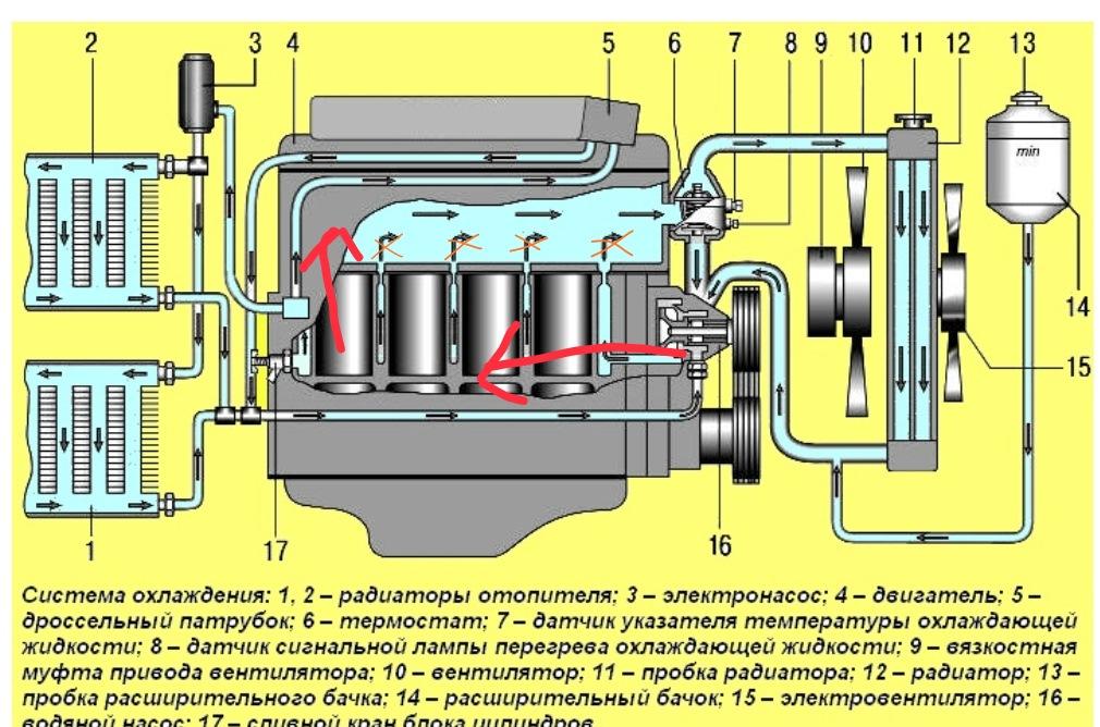 Система охлаждения газель бизнес 4216 схема движения жидкости