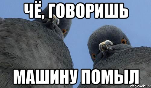 Я не чувствую выходных а у тебя их нет. Говорят но я не вижу их. Говорят но я не вижу их. Я тебя вижу. Говорят но я не вижу их.