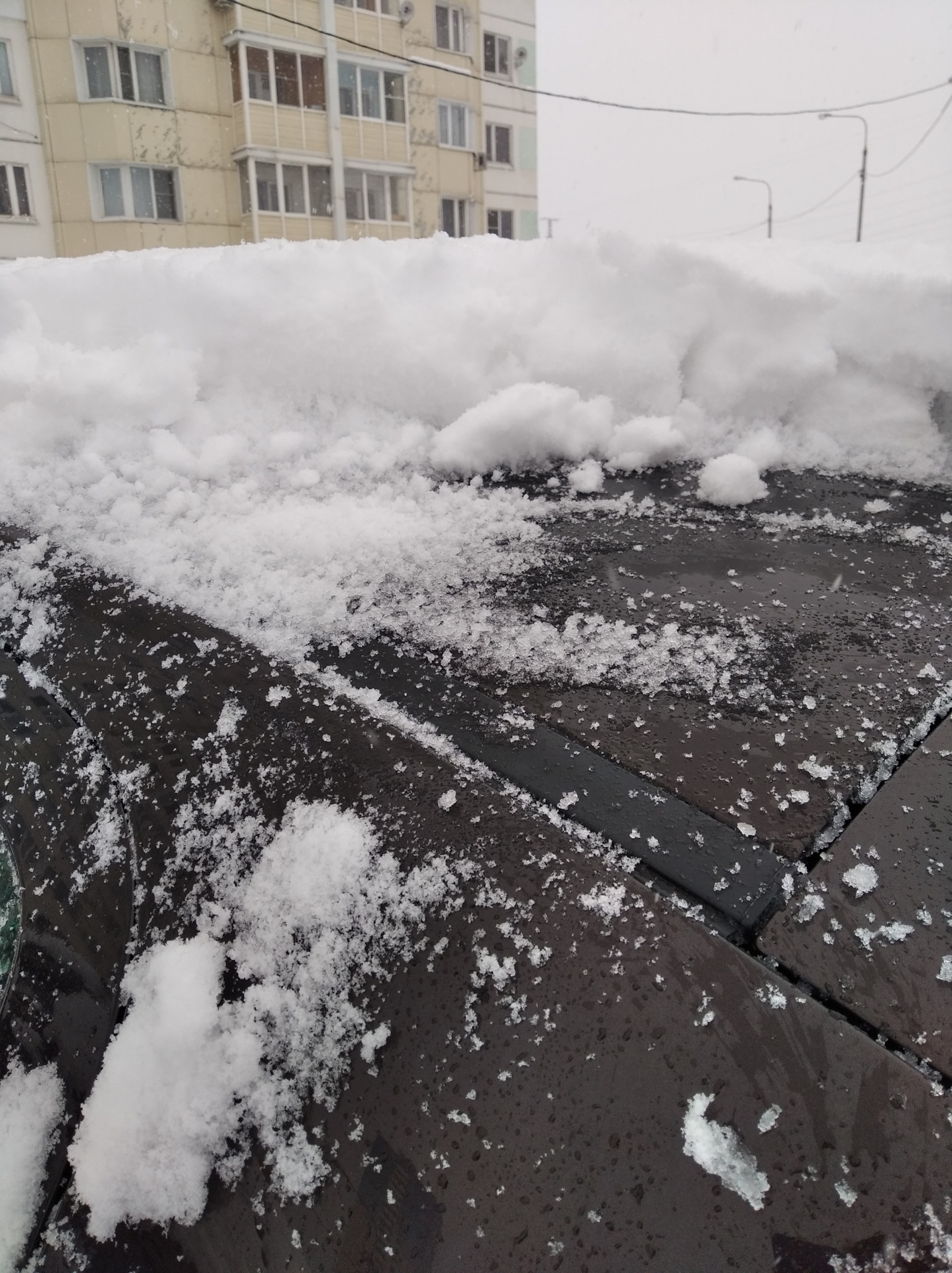 фото залепленное снегом. дождь или снег. мокрый снег залепил все окна. мокрая зима. лед на тротуаре.
