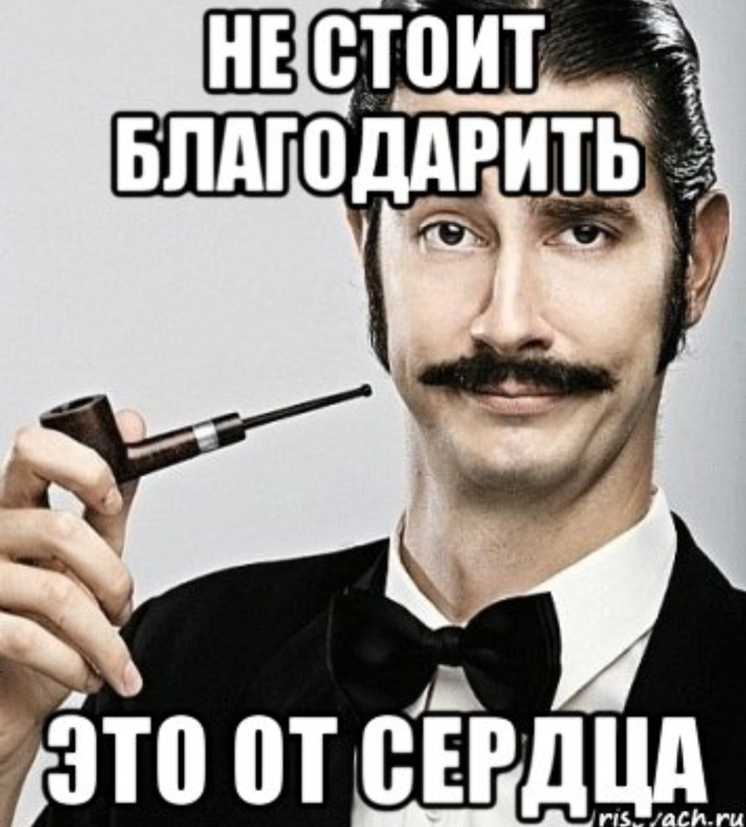 Вам в этом не простом. Не стоит благодарить. Всегда пожалуйста Мем. Да пожалуйста. Не благодари прикол.